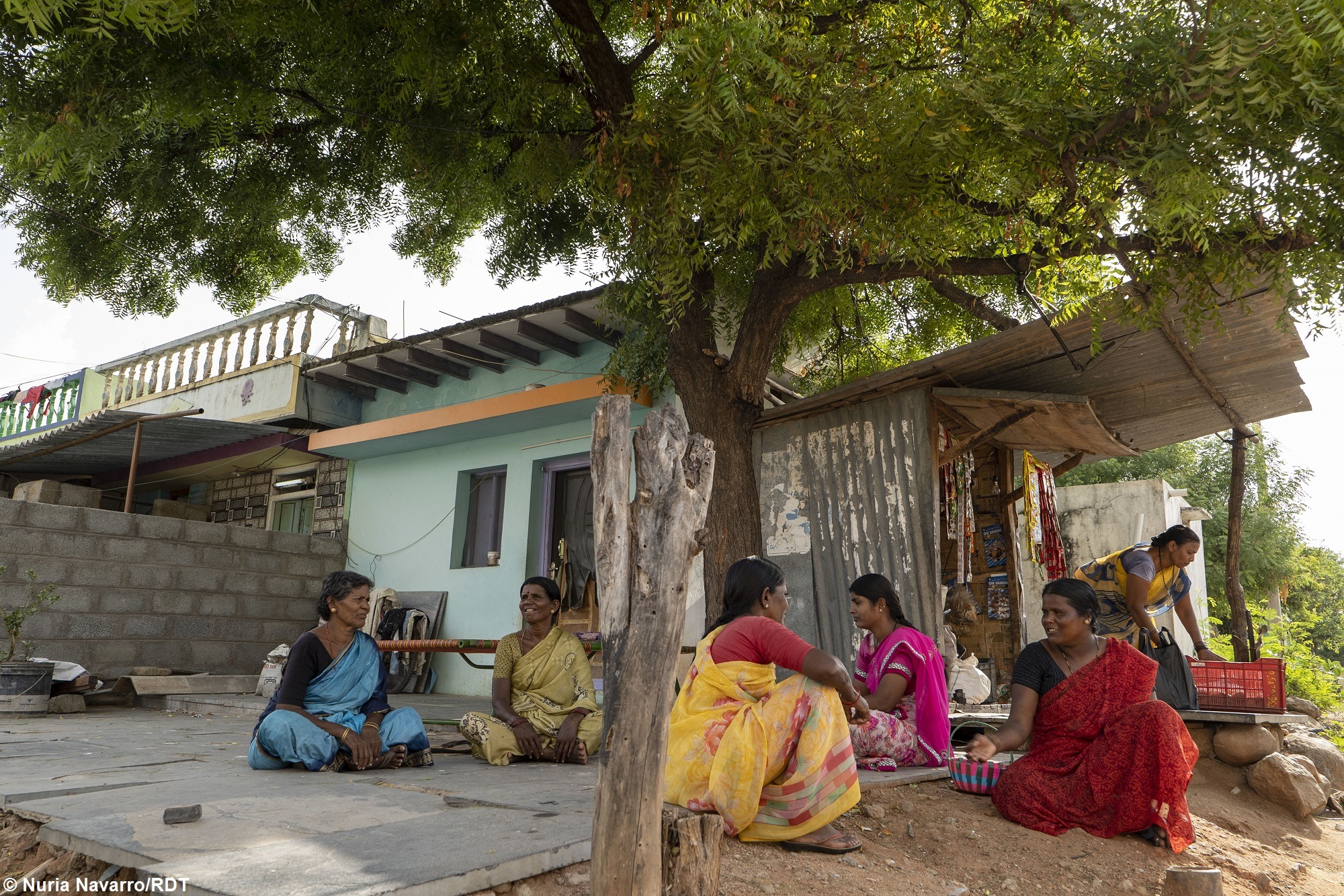 Zwei Männer und ein Kind stehen um einen neugepflanzten Baum herum und betrachten ihn. Landwirtschaft Indien: Aufforstung für den Klimaschutz in Indien.
