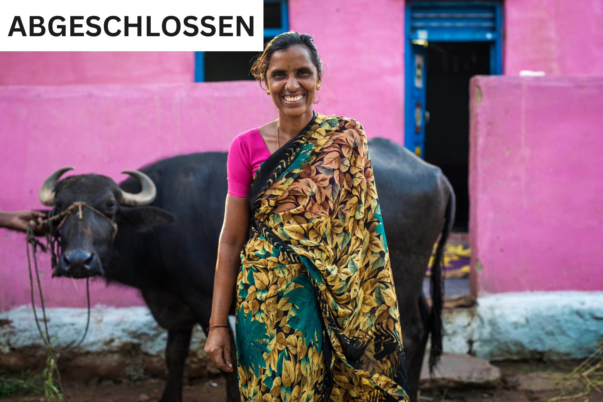 Abgeschlossen_Milchkuh