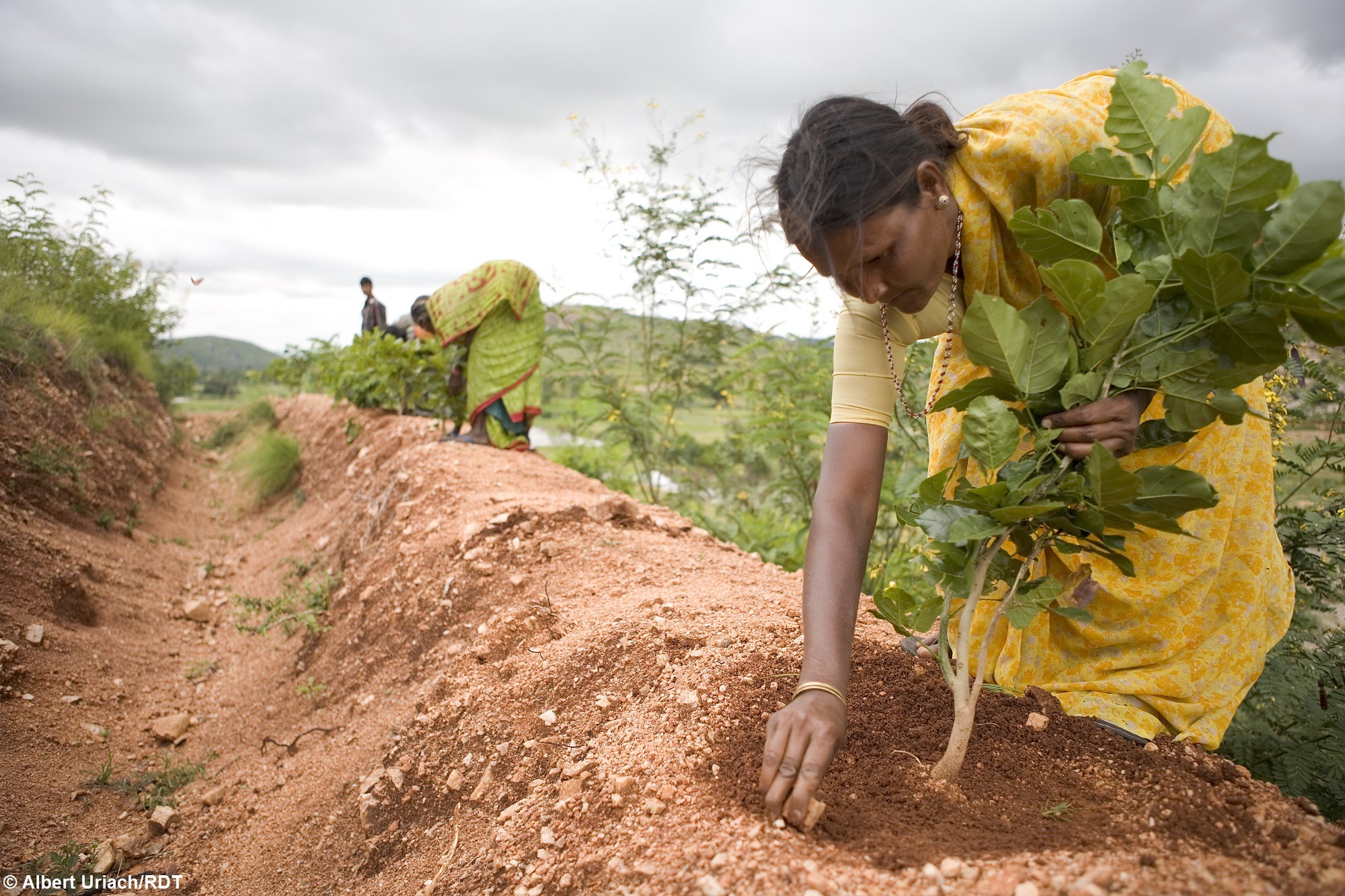 Kinder in Indien laufen durch Hochwasser. Klimaschutz in Indien ermöglichen.