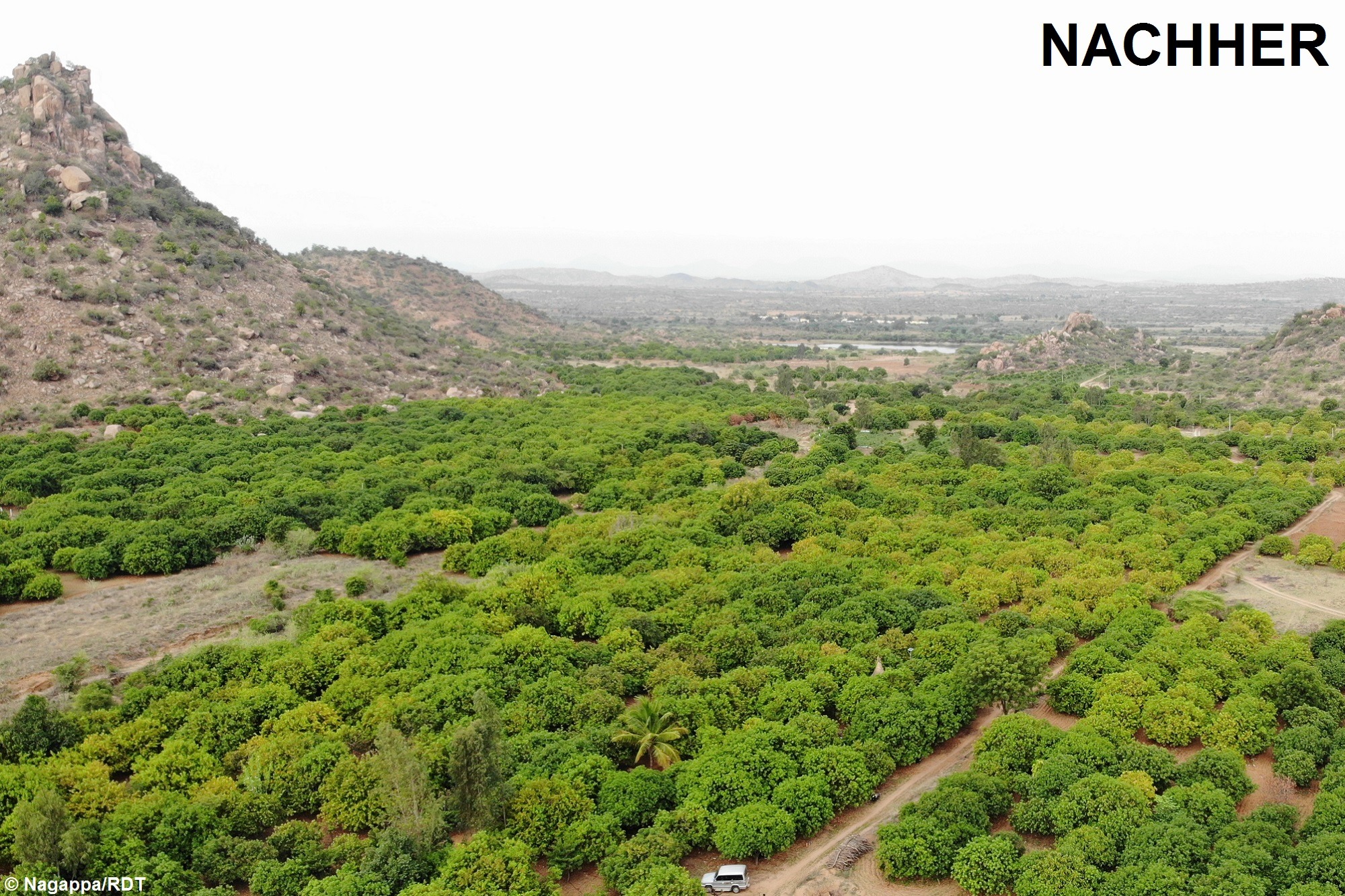 Frau in der Landwirtschaft in Indien nutzt Tröpfchenbewässerung für Klimaschutz in Indien.